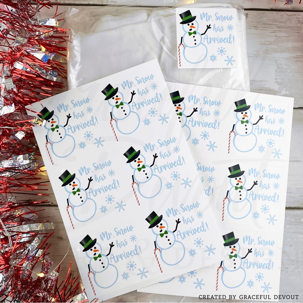 ❄️Mr. Snow Has Arrived - 2" (inches) (48ct.) Stickers - Picture 3 of 5